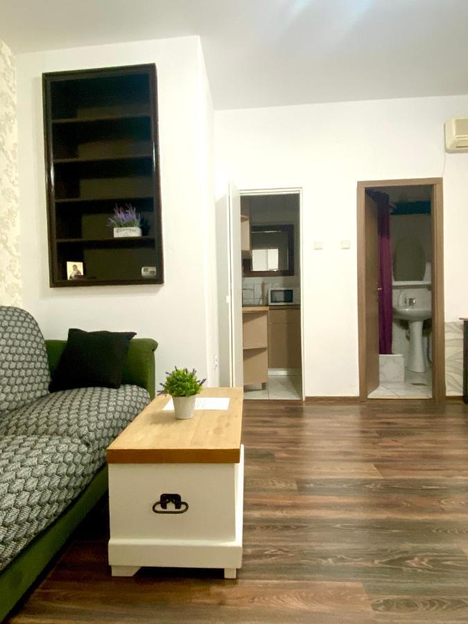 Charming Studio In Center Of Bucharest,ground Floor, Near Old Apartment
