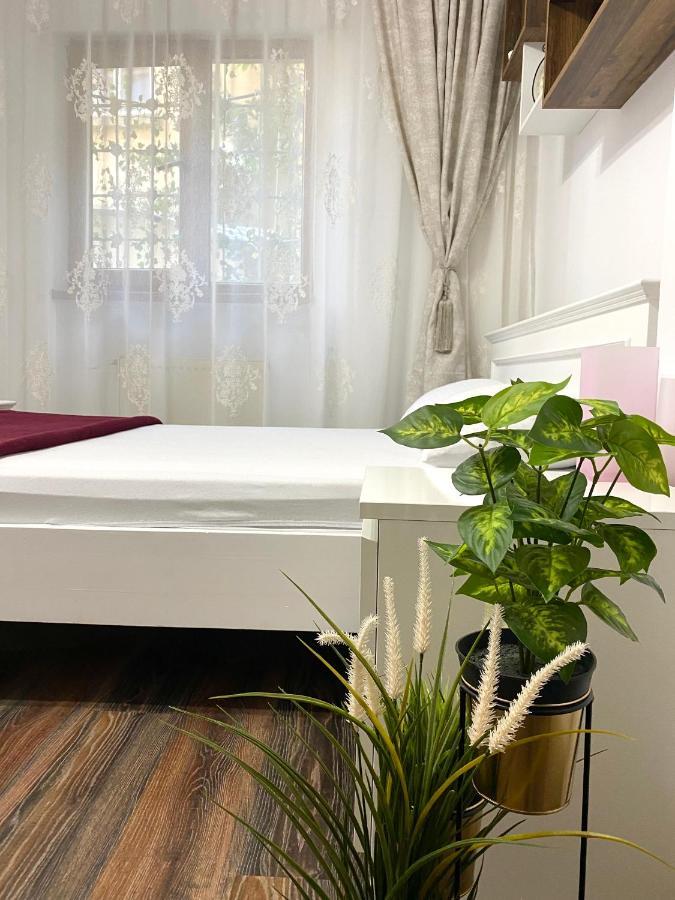 Charming Studio In Center Of Bucharest,ground Floor, Near Old * Bucarest